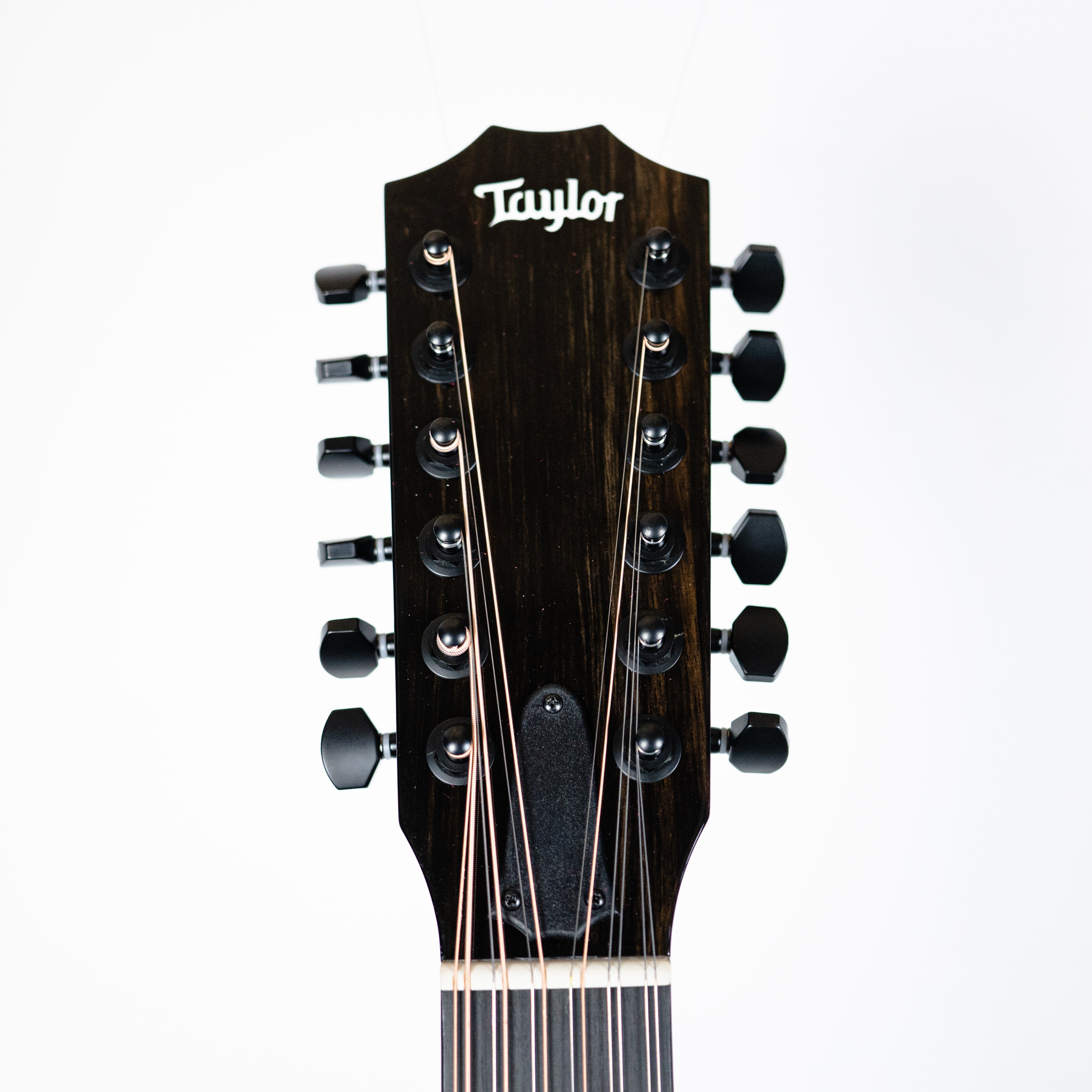 Taylor 250ce-BLK DLX