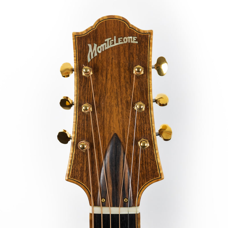 Monteleone 2011 Hexaphone 17" Flat Top #199