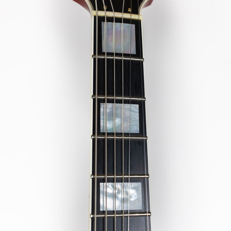 D'Aquisto by Aria 2004 Solid Body