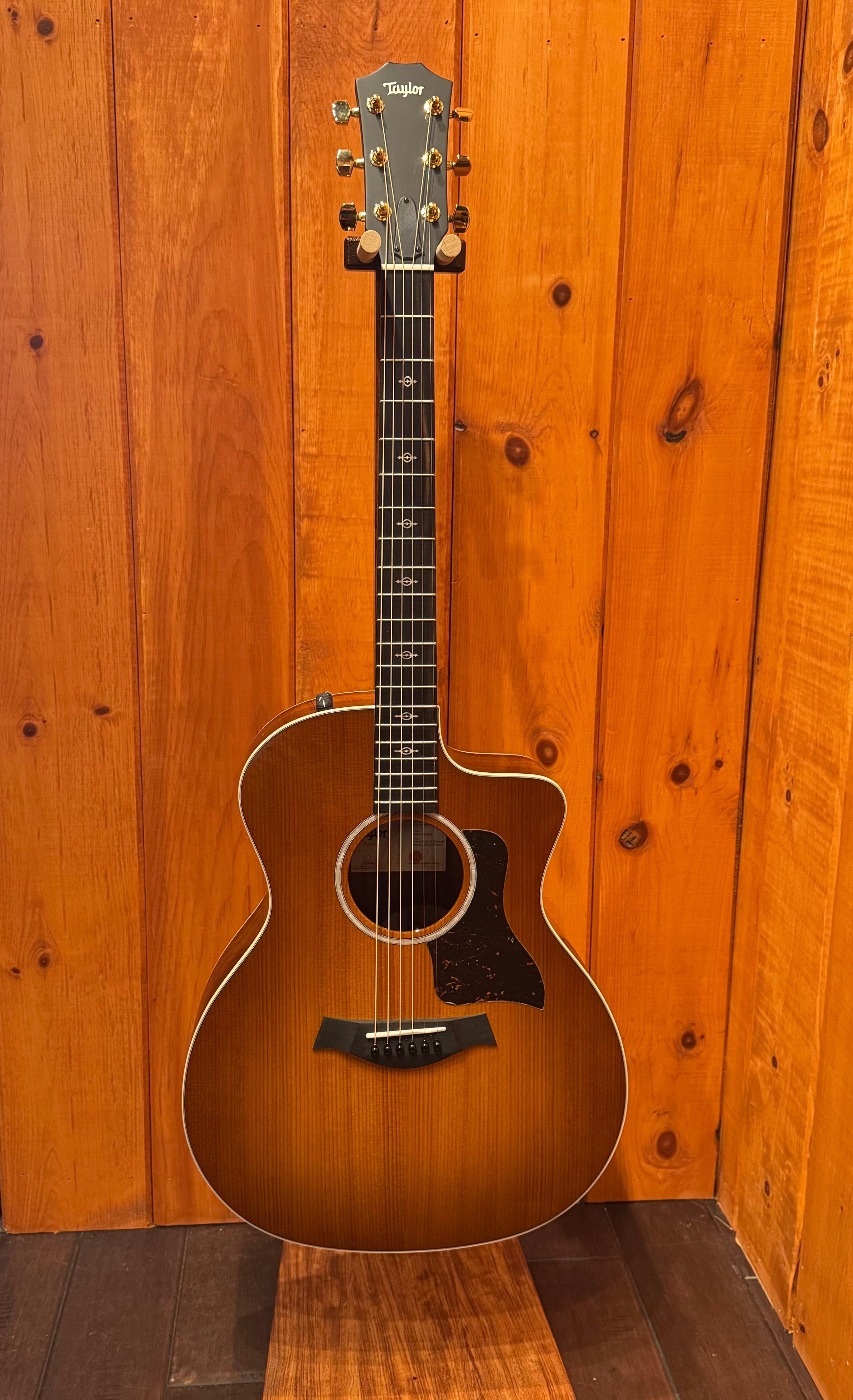【へこみあり】Taylor 214se 214ce Plus Special Edition, Trans GreySapeleアコースティック