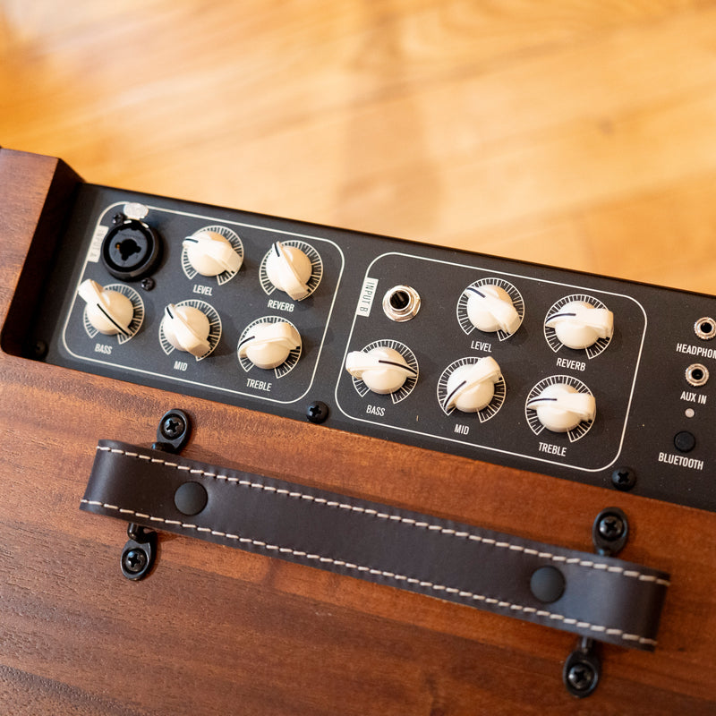 Circa 74 Acoustic Guitar/Vocal amplifier