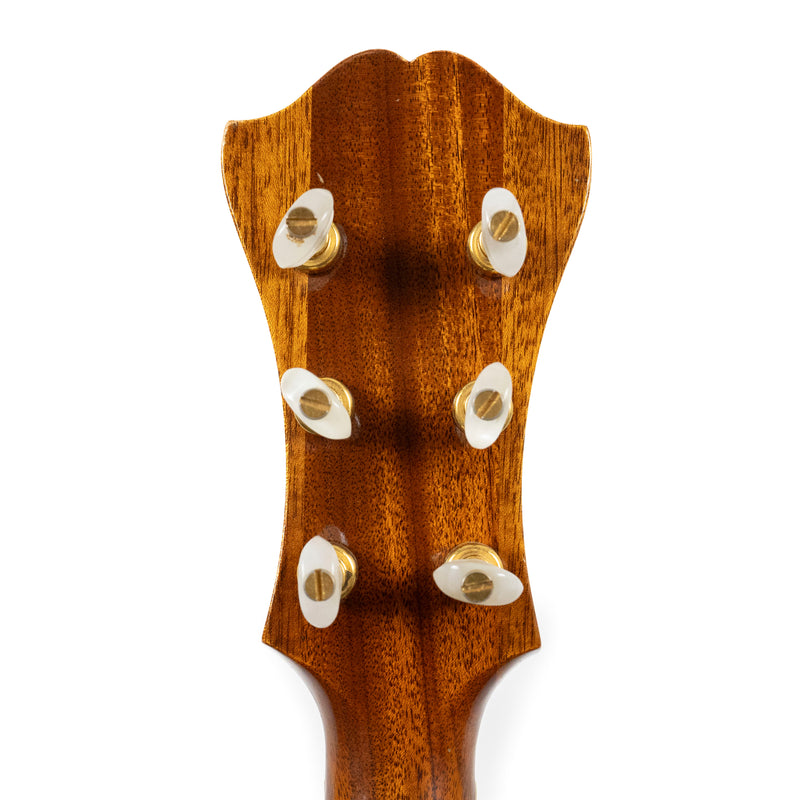 Monteleone 1977 Hexaphone 17" Flat Top