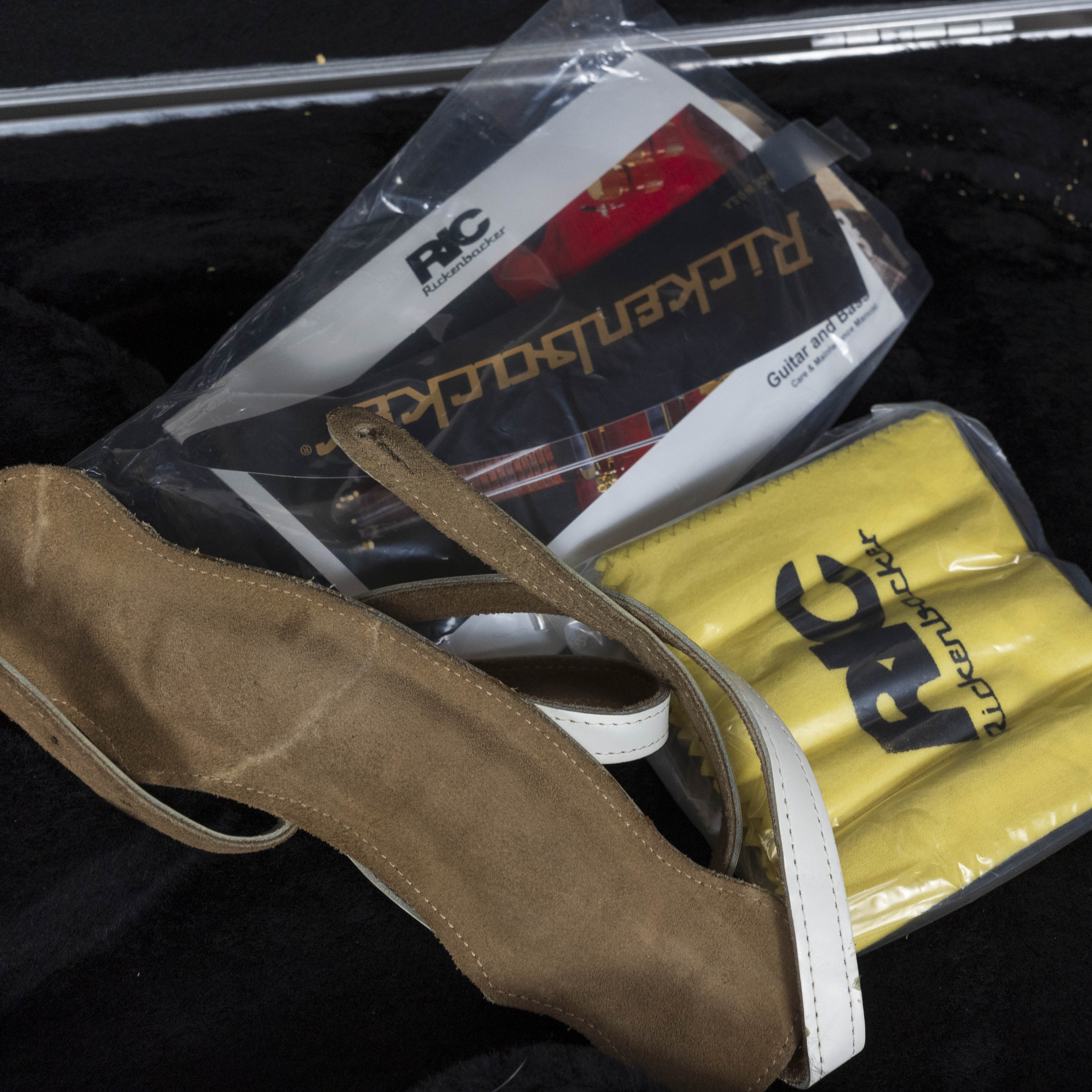 Rickenbacker 2013 360/12, Fire Glo