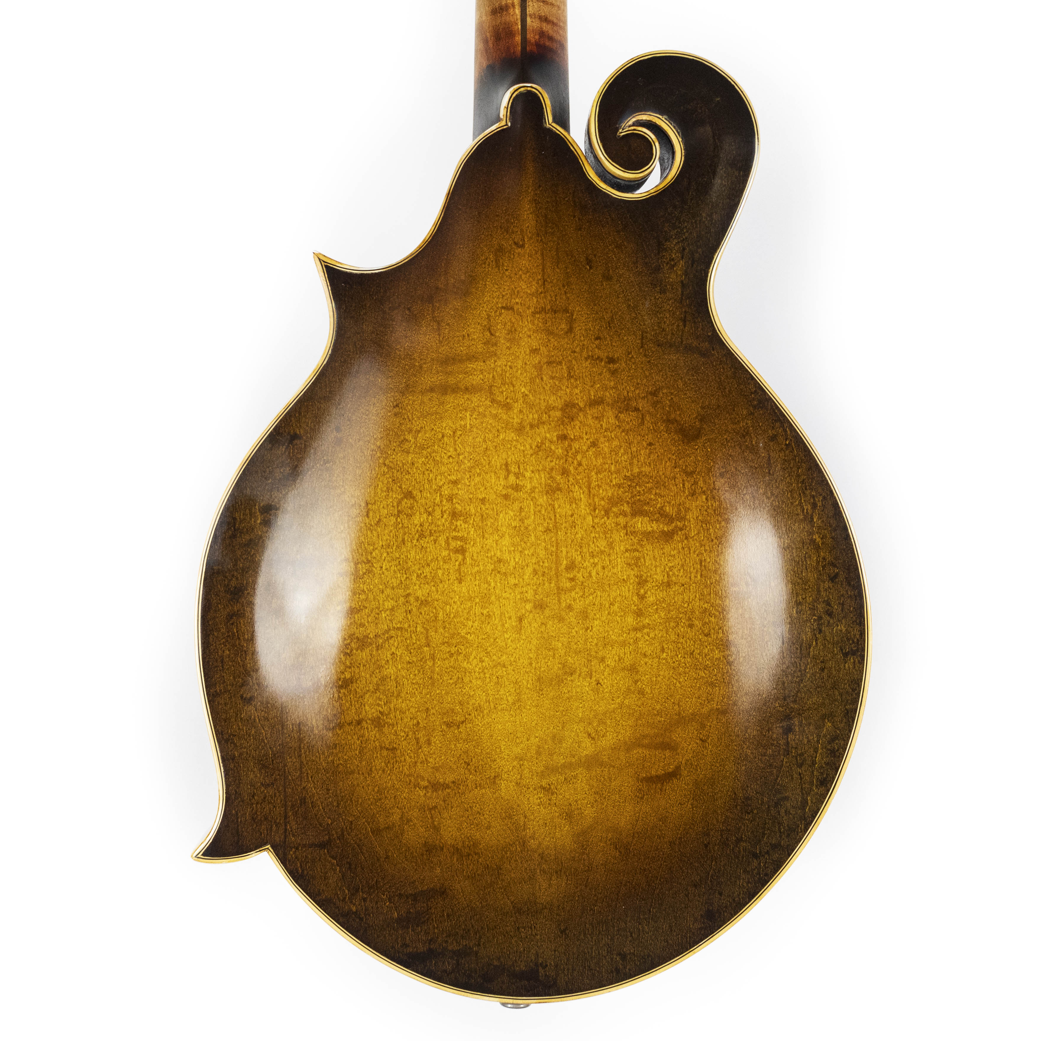 Gibson 1962 F-5, Refin Black