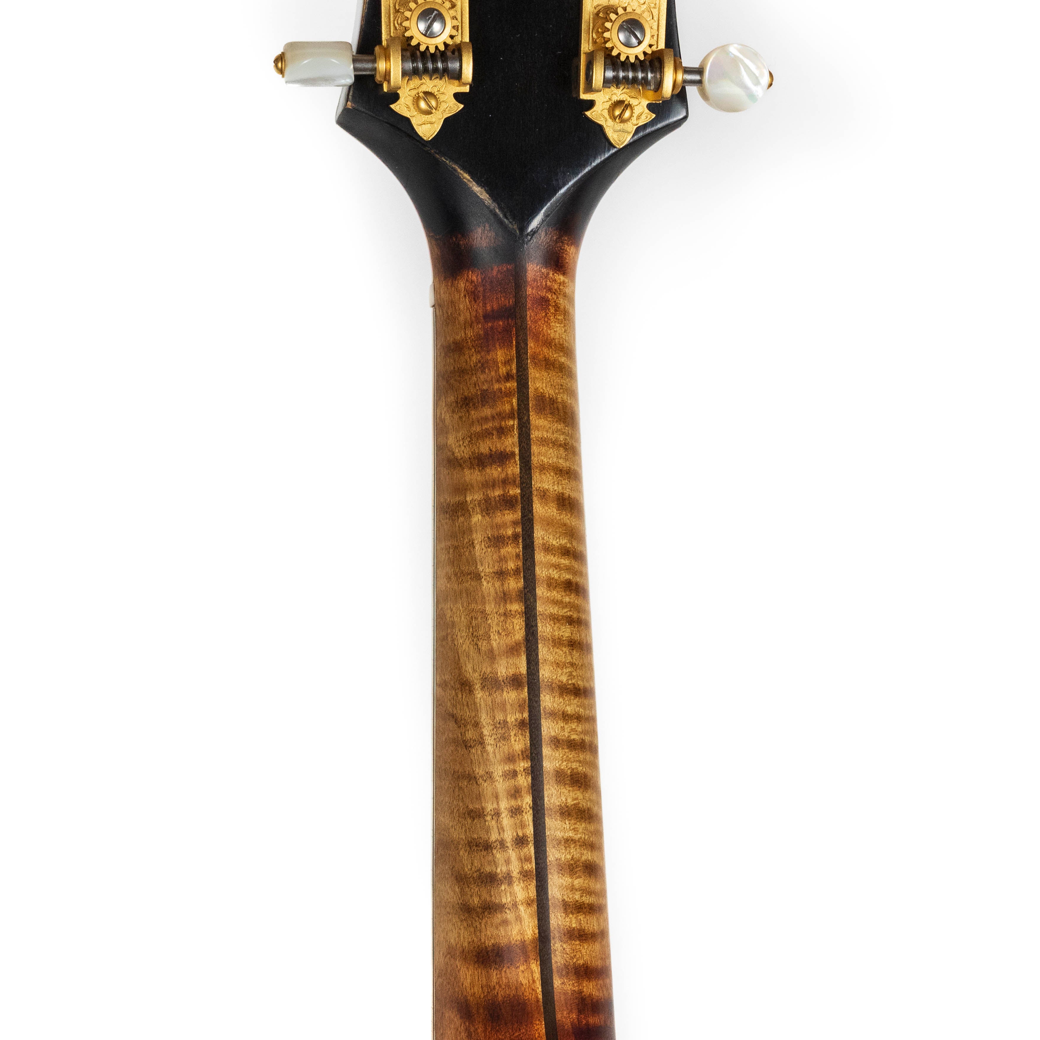 Gibson 1962 F-5, Refin Black