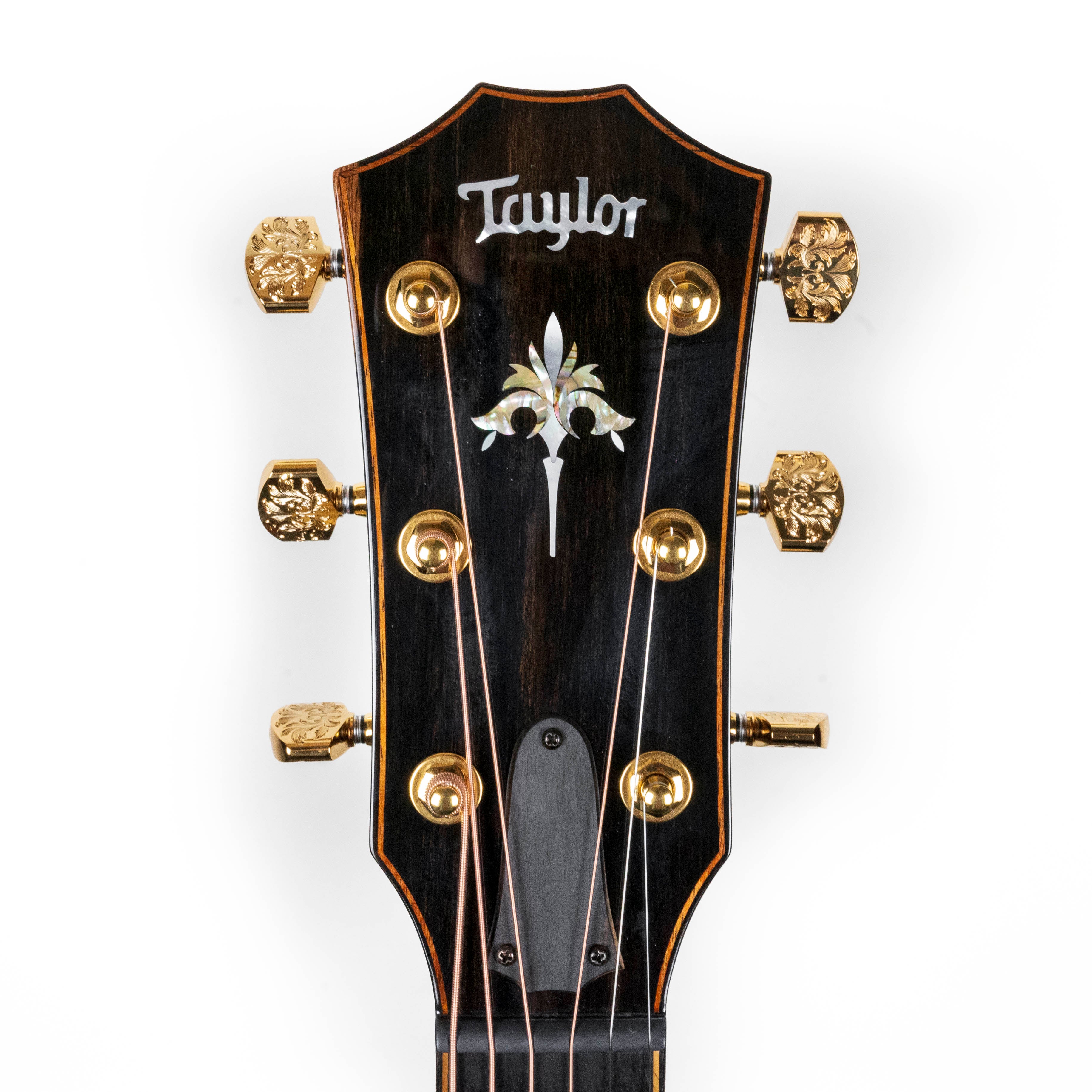 Taylor Builder's Edition 924ce-K 50th Anniversary + Circa 74 Koa Amplifier (Limited to 74)