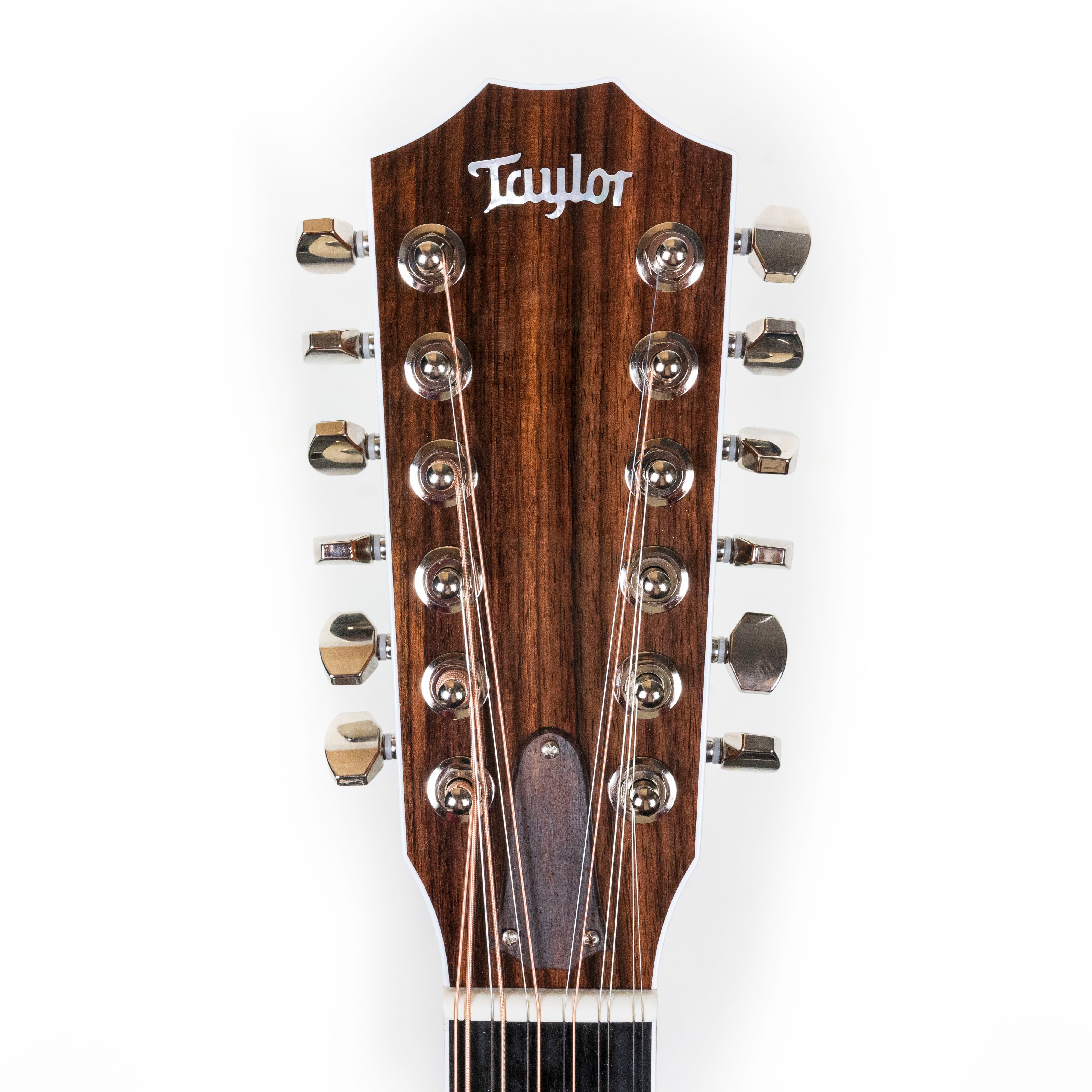 Taylor Legacy 855e