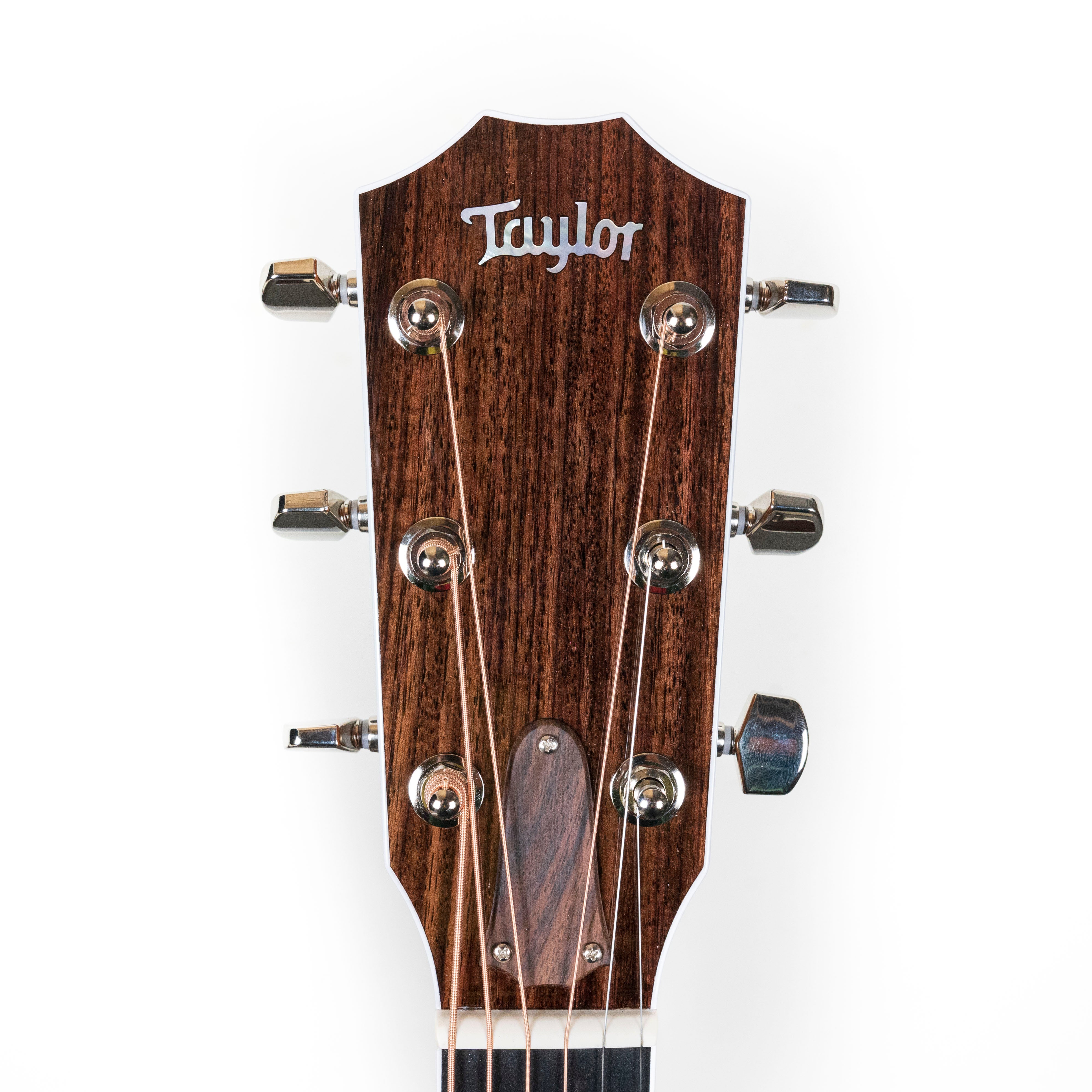 Taylor Legacy 810e