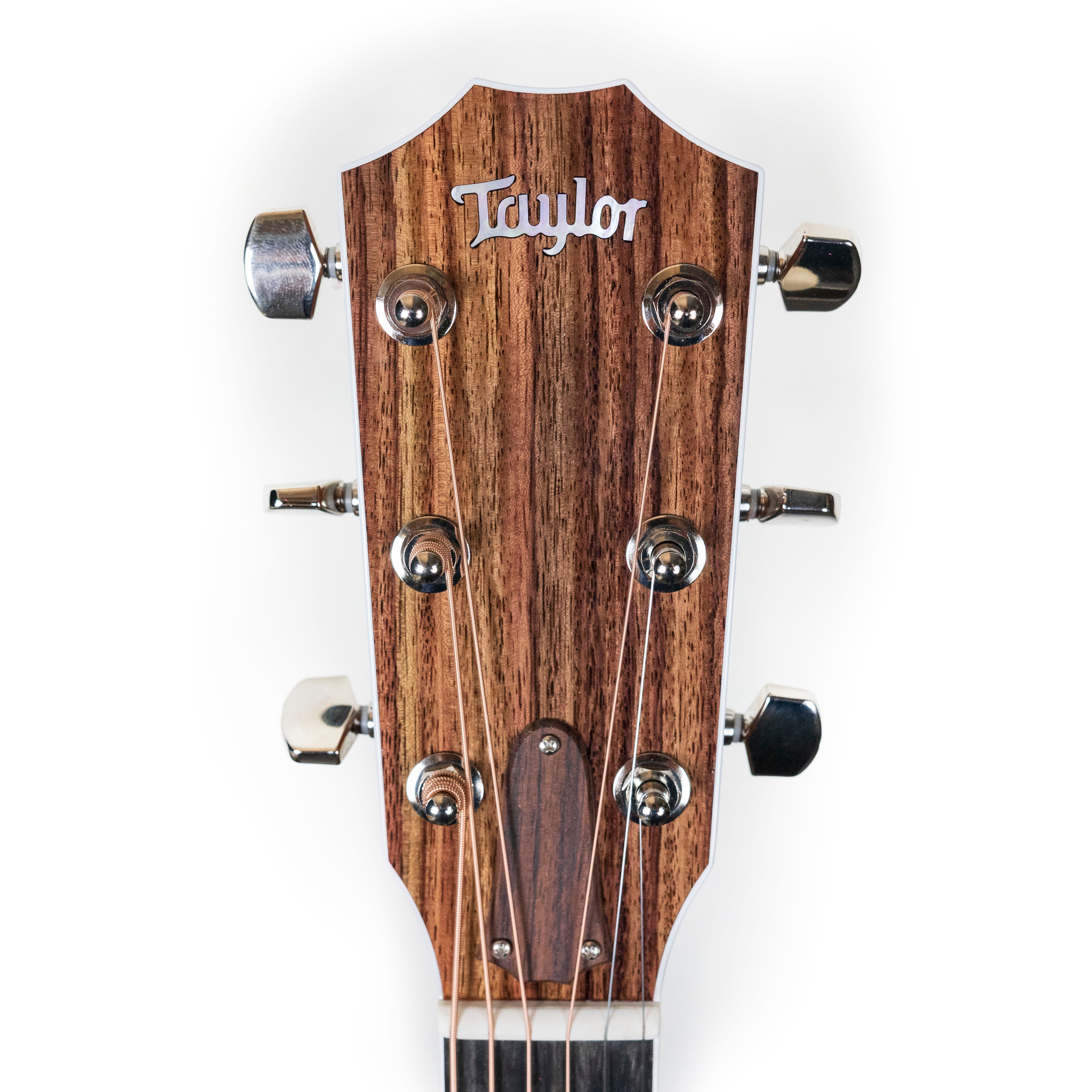 Taylor Legacy 815e