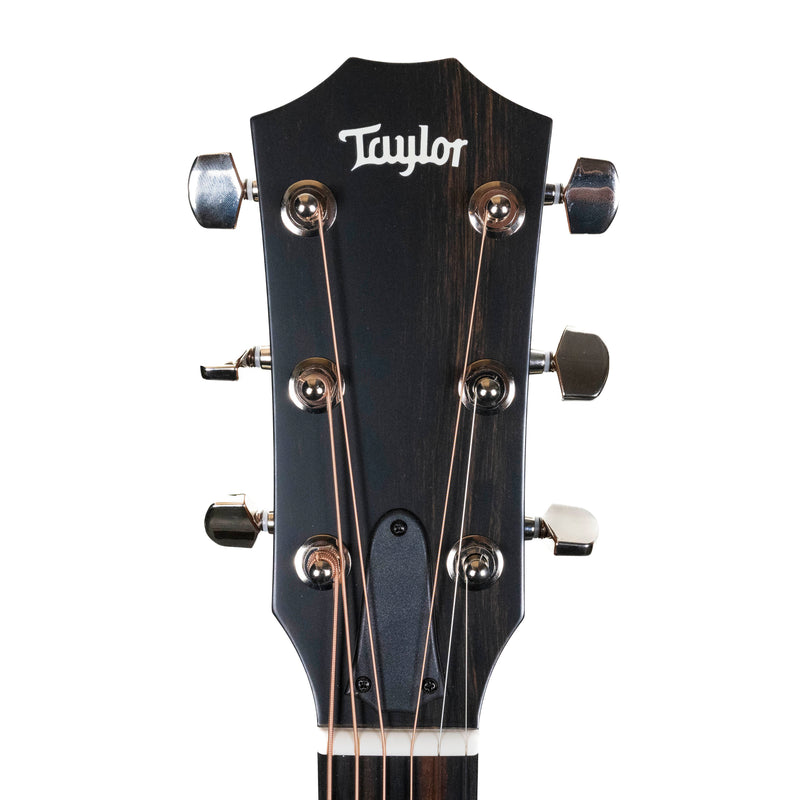 Taylor 414ce Studio Natural