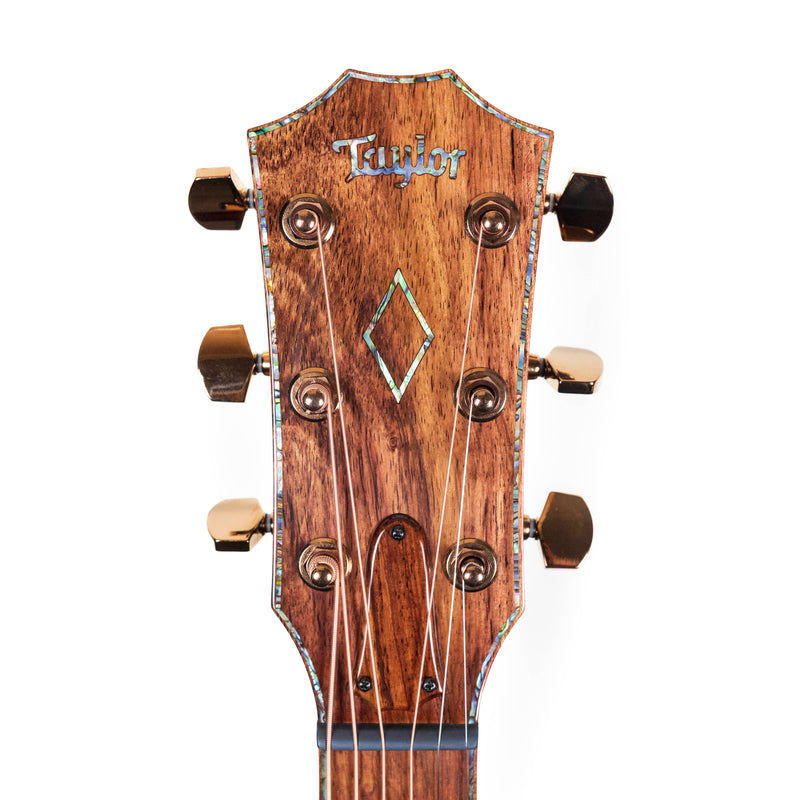 Taylor Custom Shop 'Catch" Custom GO, Mahogany/Mahogany