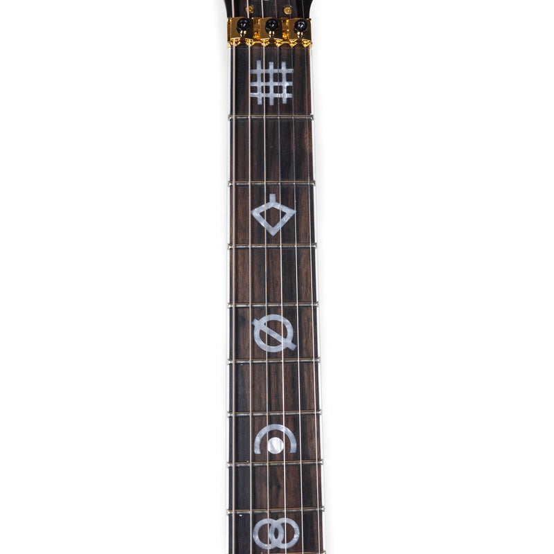 Reverend Vernon Reid, Shaman with Case