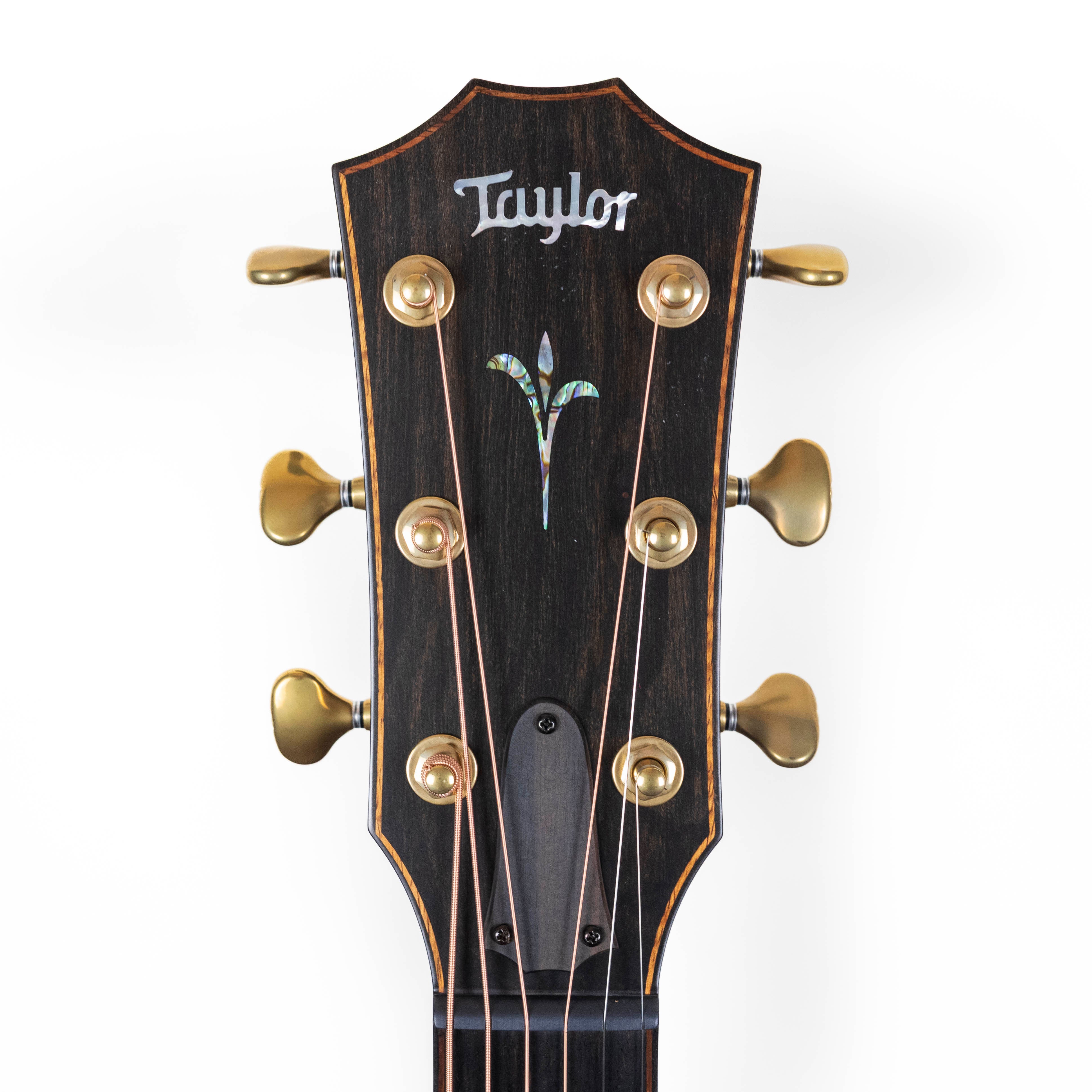 Taylor Builder's Edition K24ce