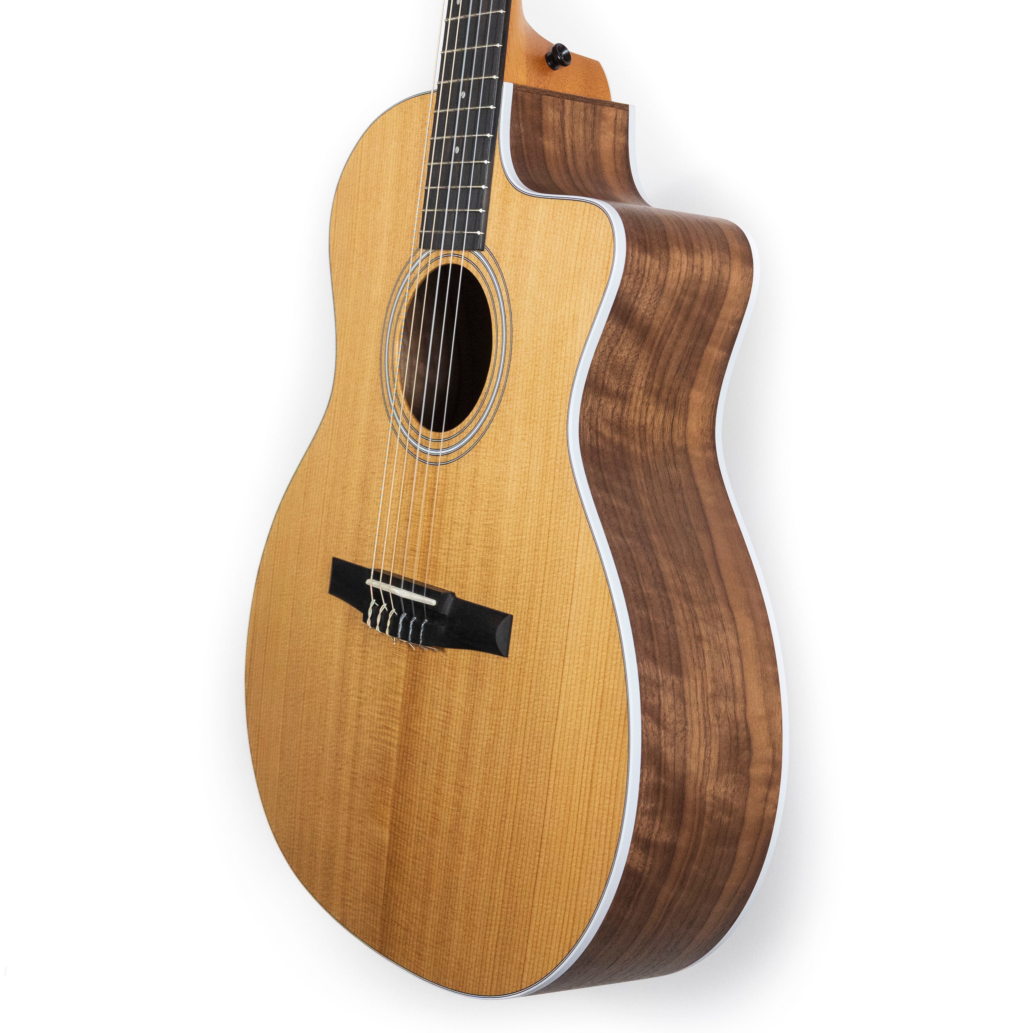 Taylor 214ce-N — Rudy's Music