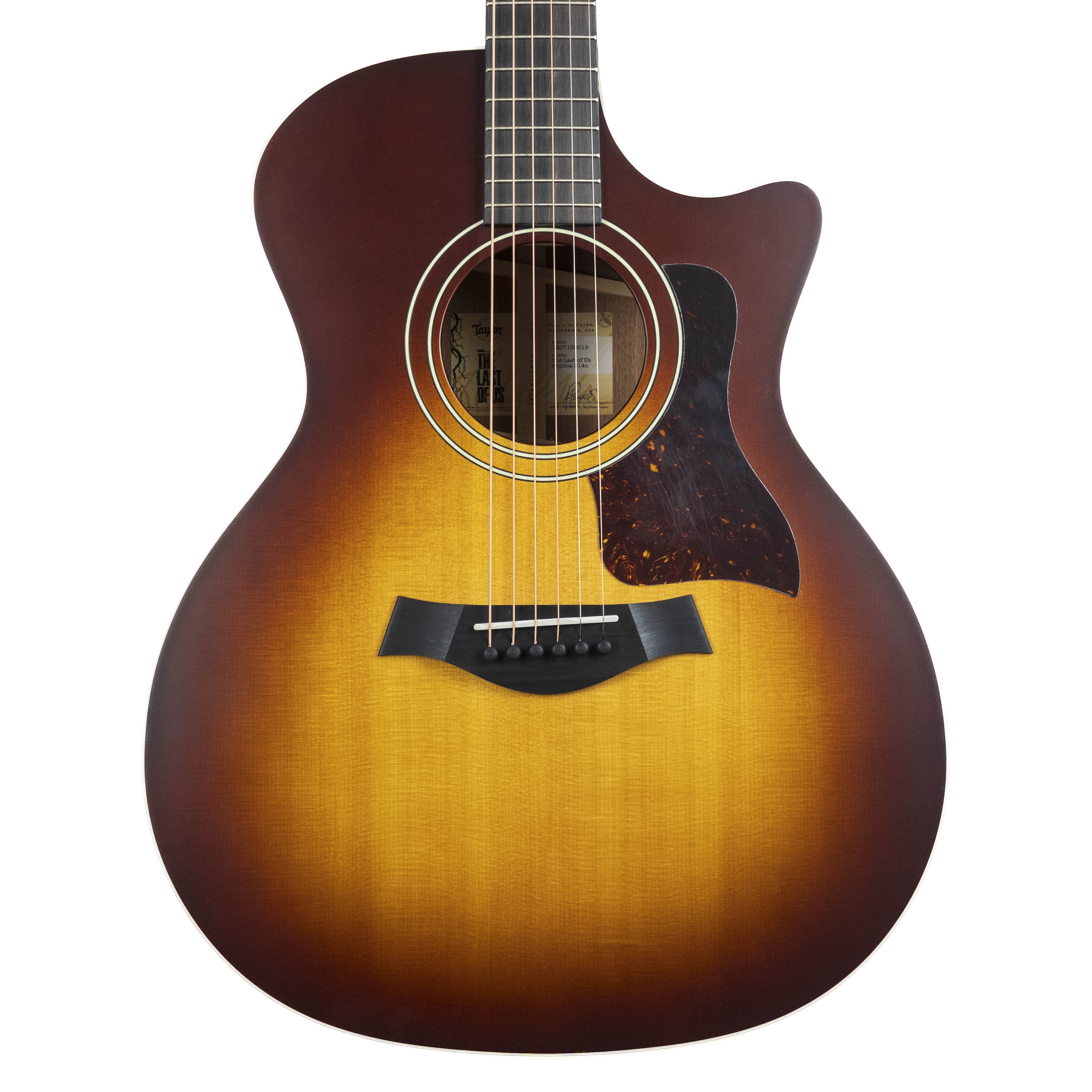 Taylor 'The Last of Us Replica' 314c