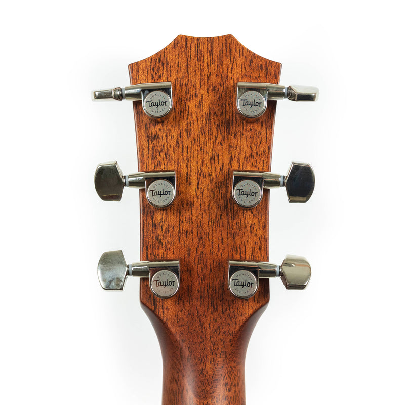 Taylor 'The Last of Us Replica' 314c