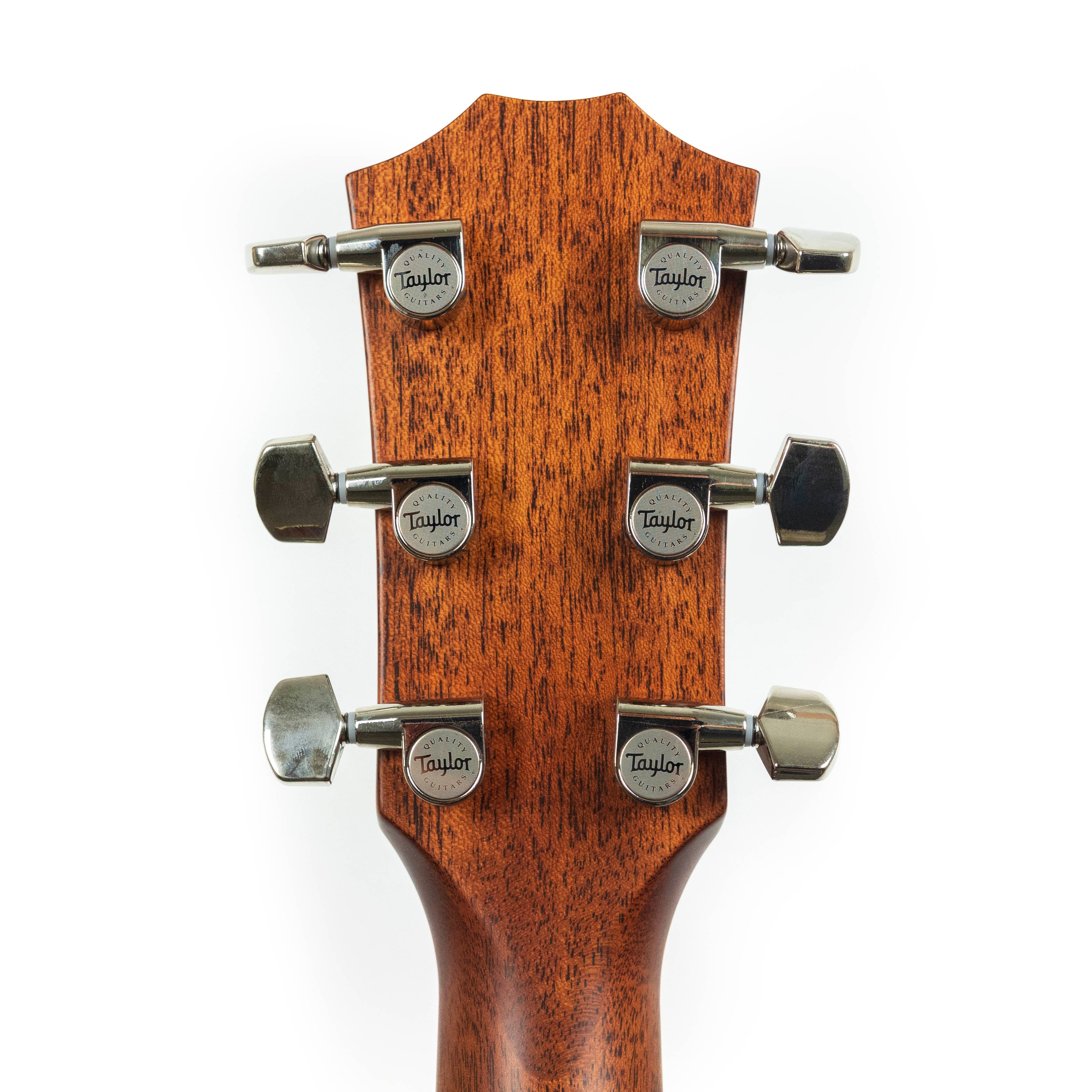 Taylor 'The Last of Us Replica' 314c