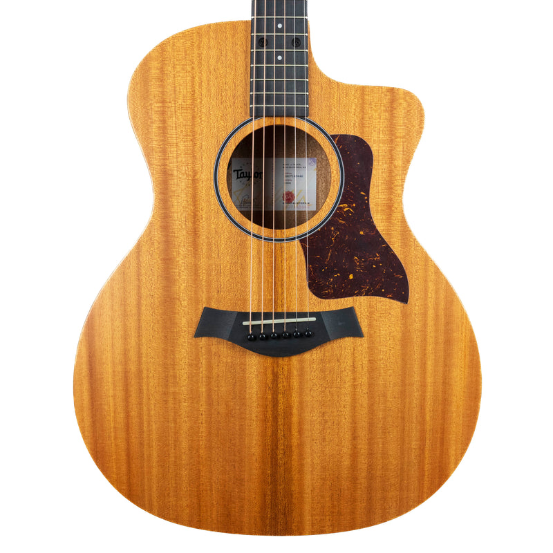 Taylor 24ce