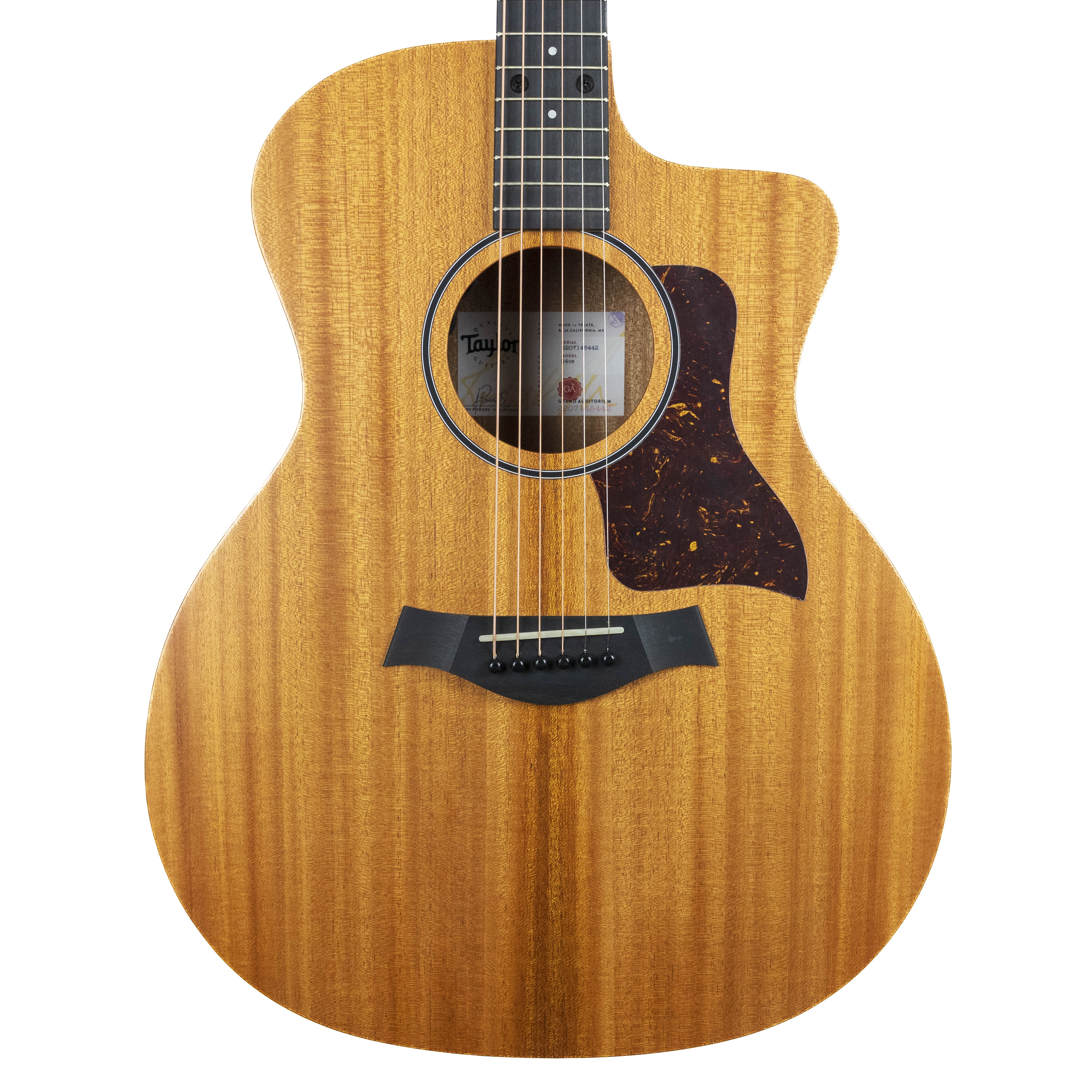 Taylor 24ce