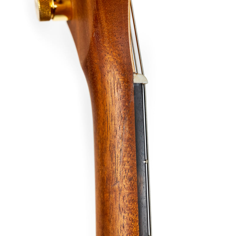 Kiesel 2023 USED FG1, Frank Gambale Semi-Hollow Carved Top, Natural