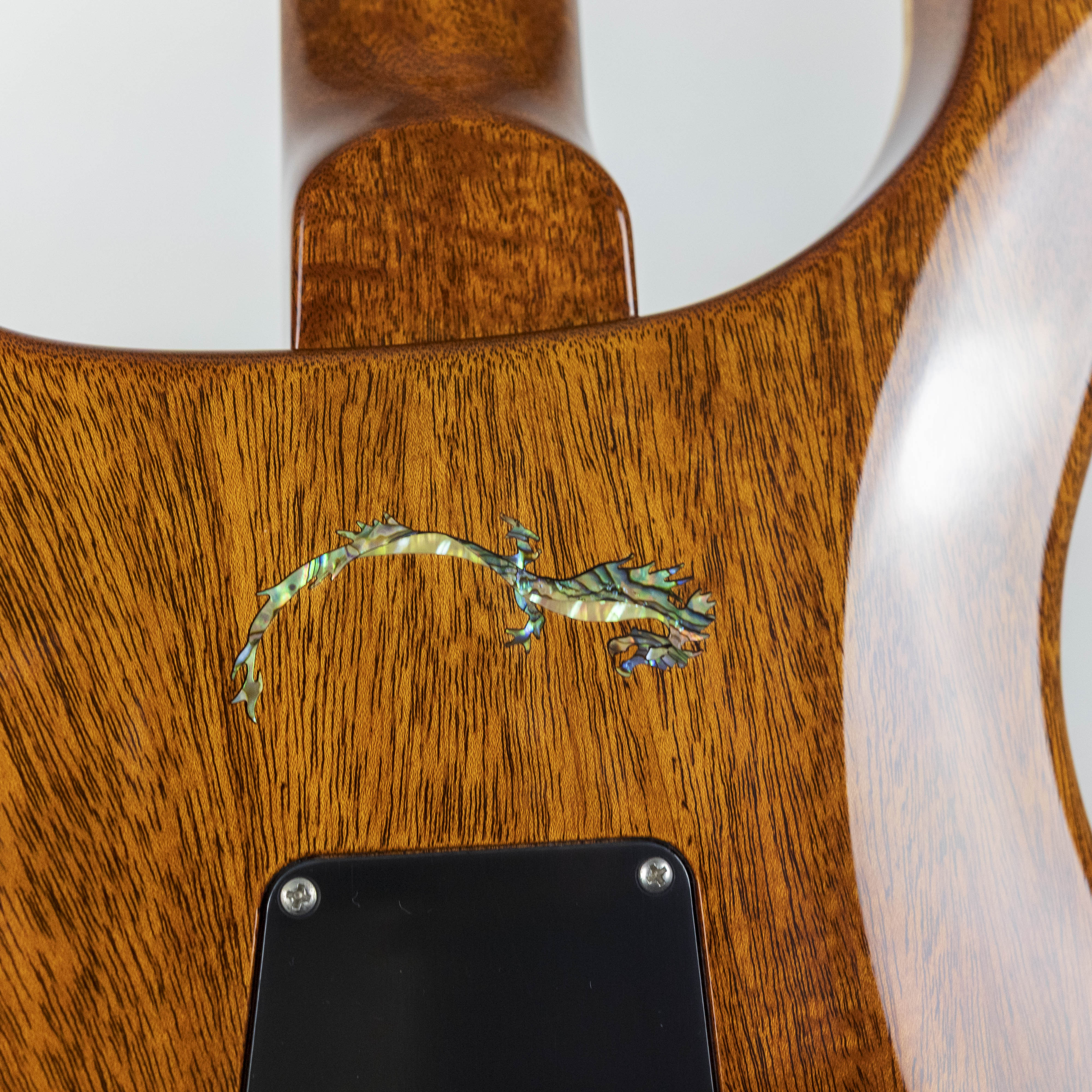 PRS 2010 Private Stock #2811 in Ice Mist #10 169332