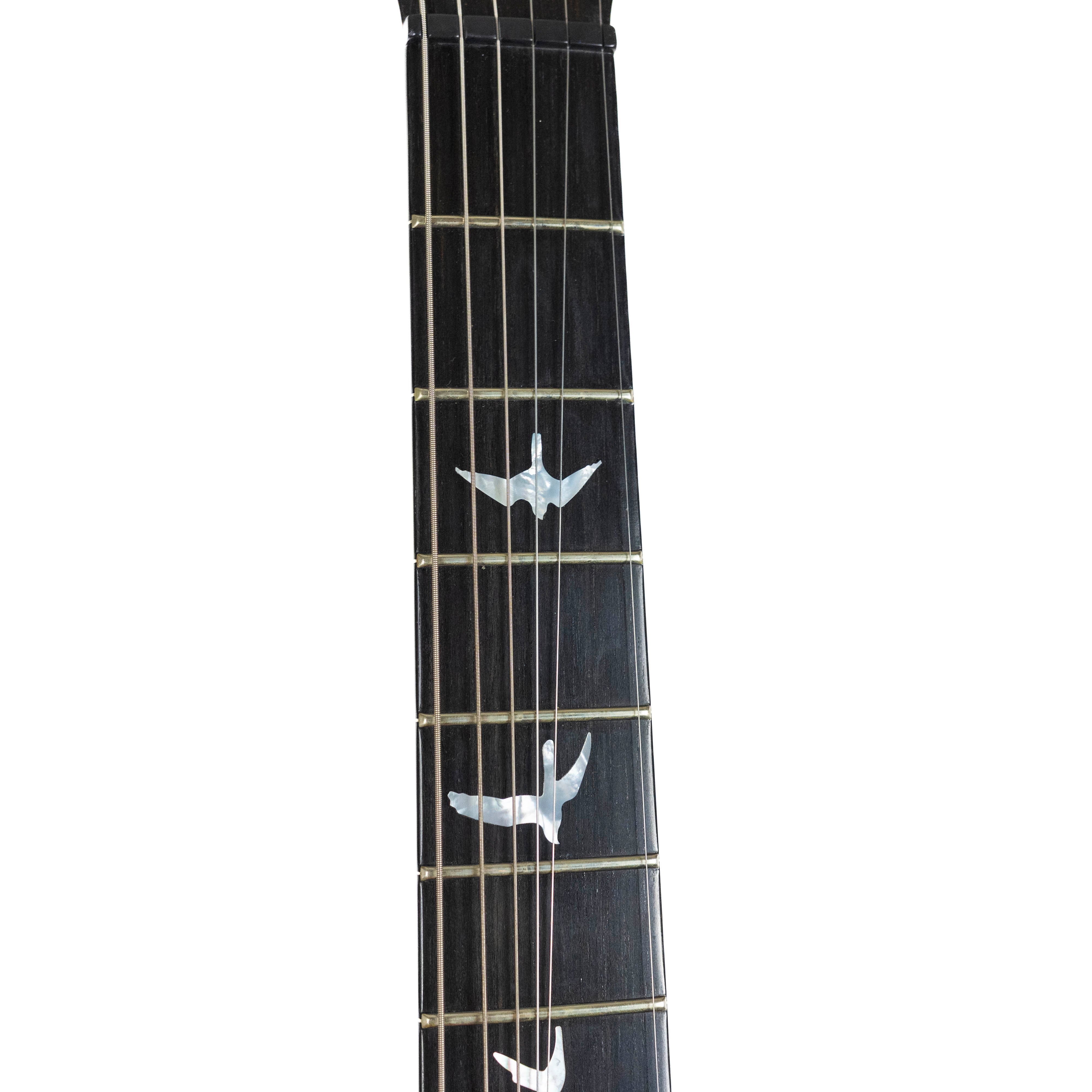 PRS 2010 Private Stock #2811 in Ice Mist #10 169332