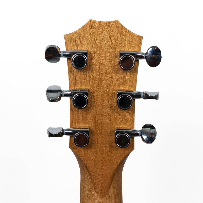Taylor GS Mini-e Special Edition, Floral Blue