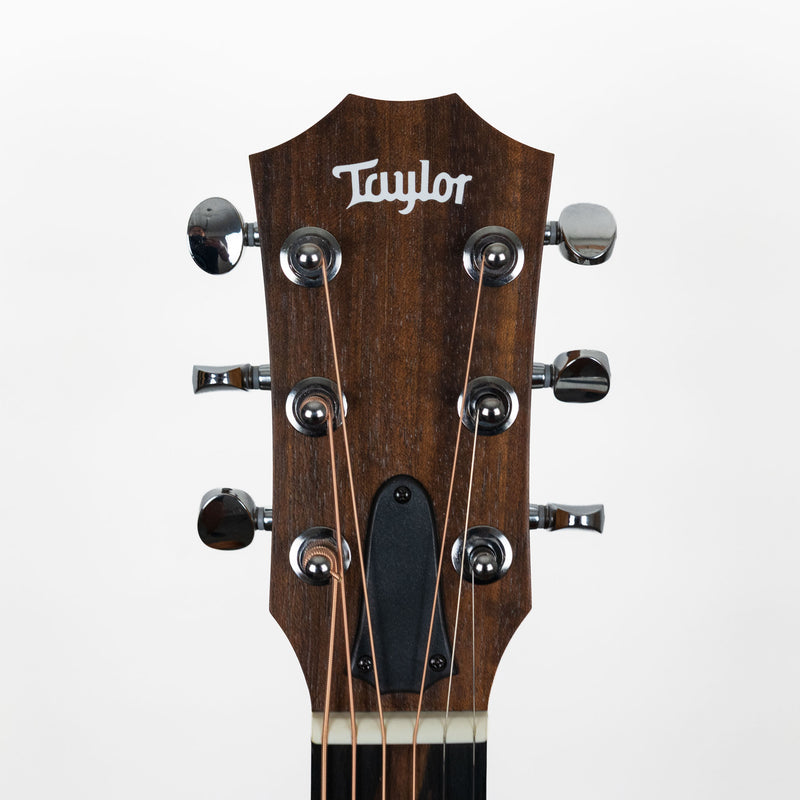 Taylor GS Mini-e Special Edition, Floral Blue