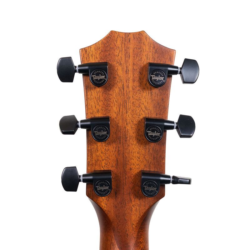 Taylor 322ce Next Generation, Natural