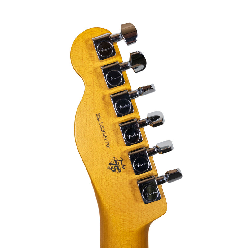 Fender American Professional Telecaster, Aged Cherry Burst