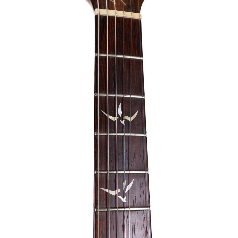PRS 2004 513 10-Top w/ Brazilian Rosewood Neck, Amber