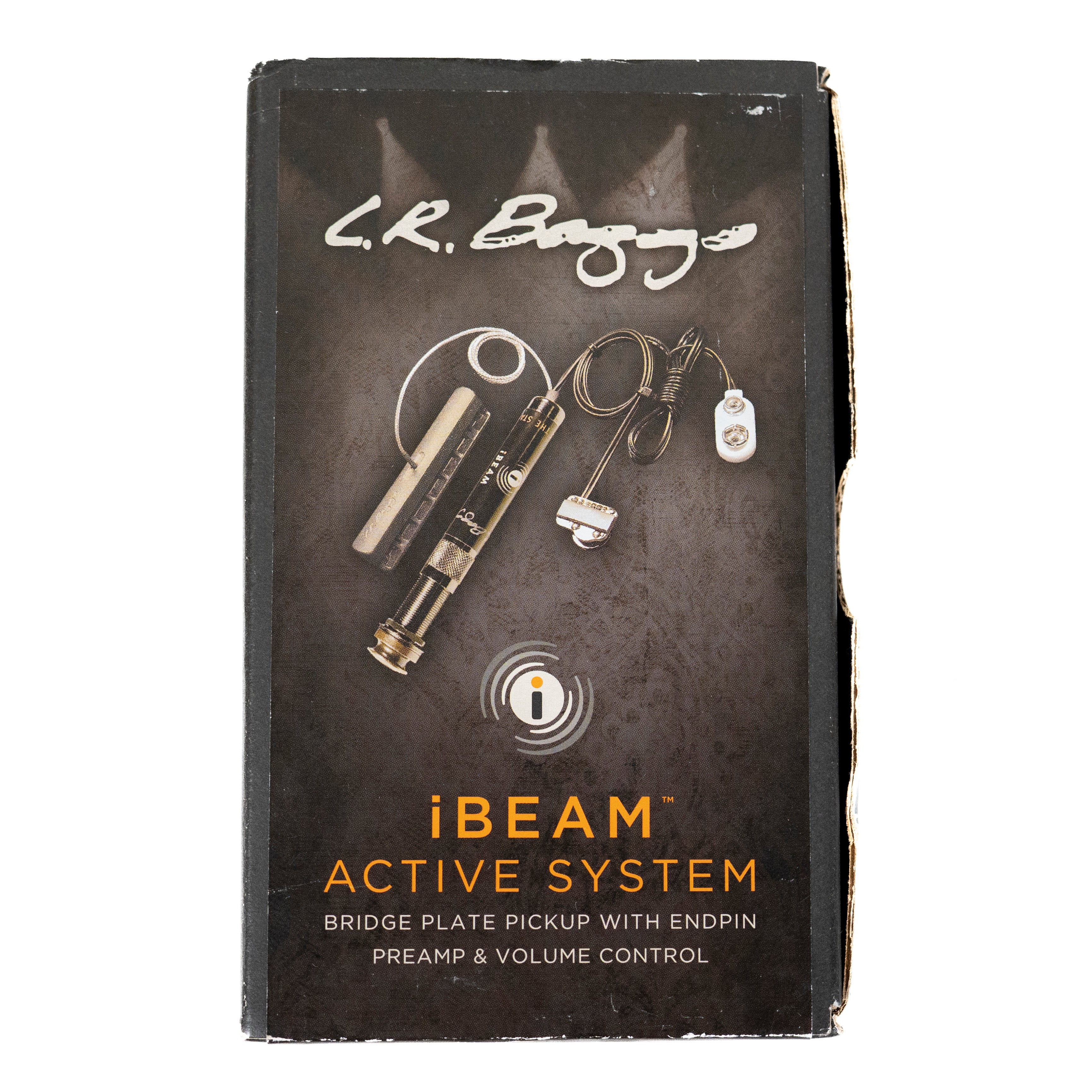LR Baggs iBeam active system