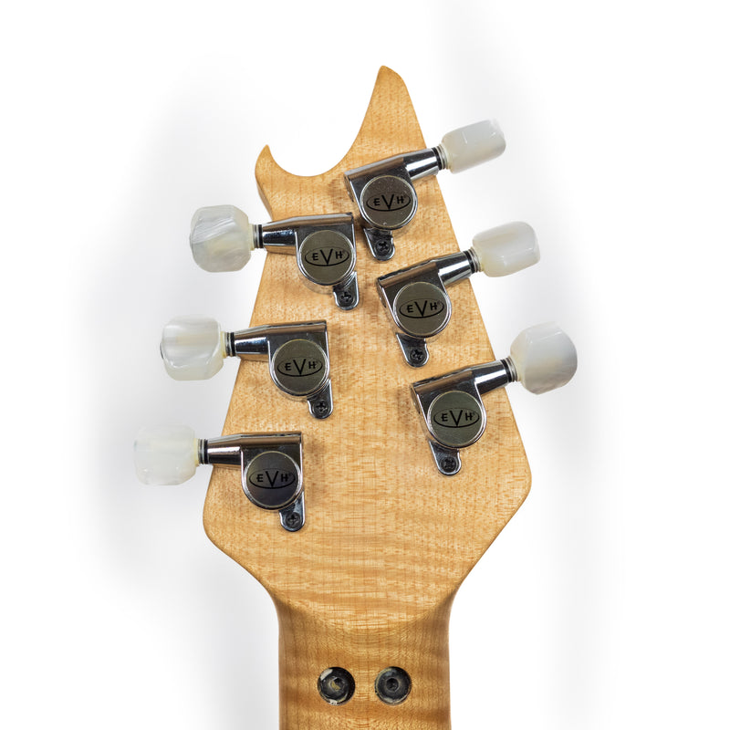 EVH 2010 Wolfgang Special, Black