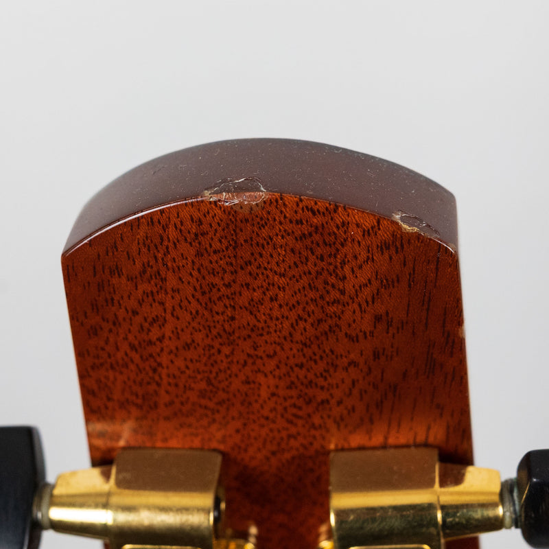 Santa Cruz 1996 FS / Fingerstyle Model, Cedar Top + EI RW #463 w/OHSC