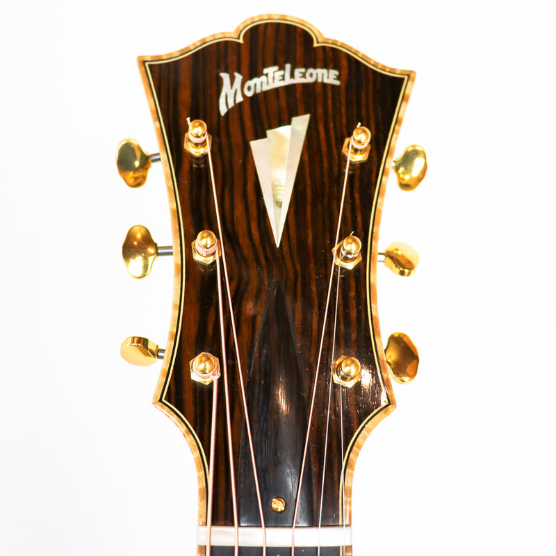 Monteleone 'Il Bambino' Mini Archtop #225