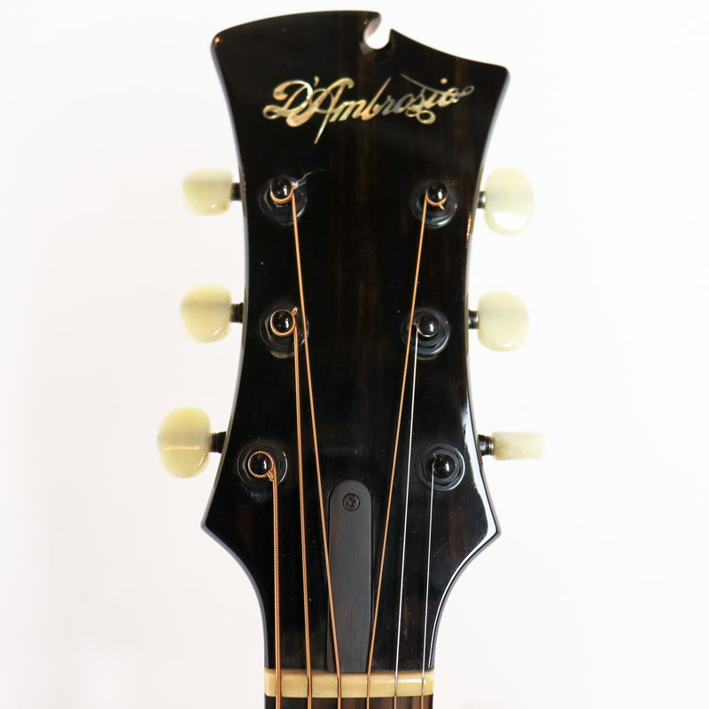 D'Ambrosio 2008 Custom Oval Hole Archtop