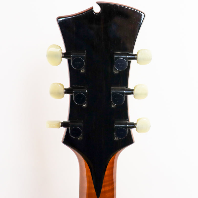 D'Ambrosio 2008 Custom Oval Hole Archtop