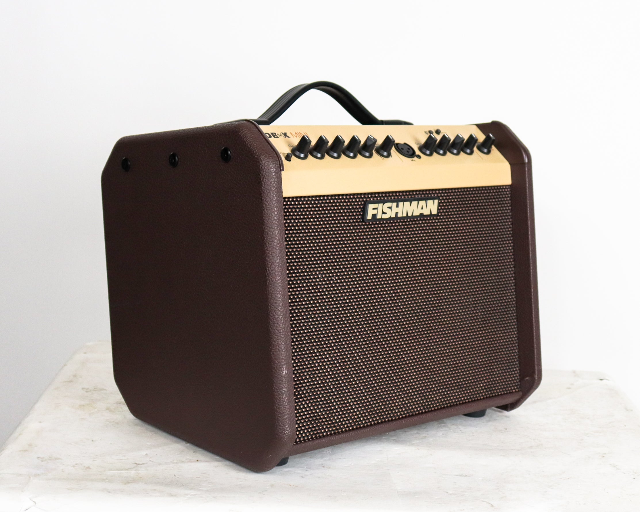 Fishman Loudbox Mini — Rudy's Music