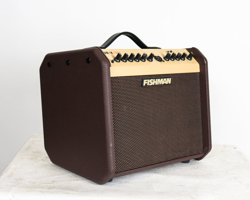 Fishman Loudbox Mini