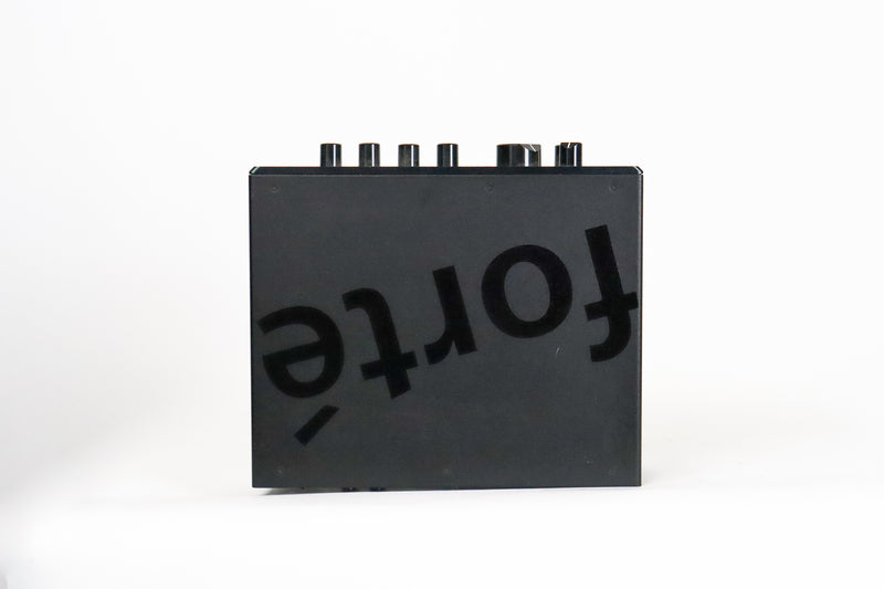 Bergantino Forté D Bass Head