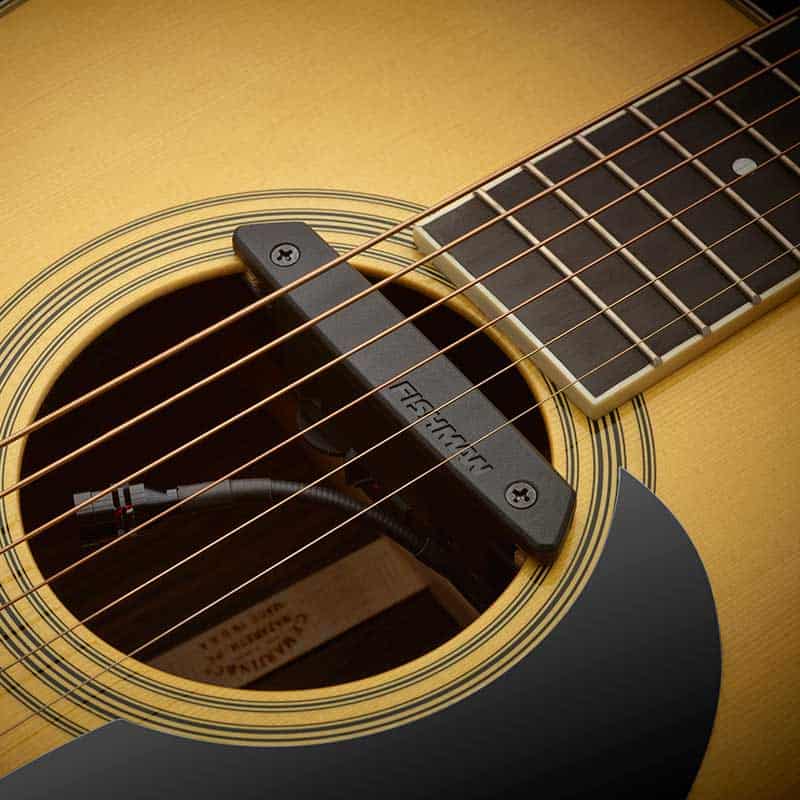 Rare Earth Mic Blend Active Soundhole Pickup