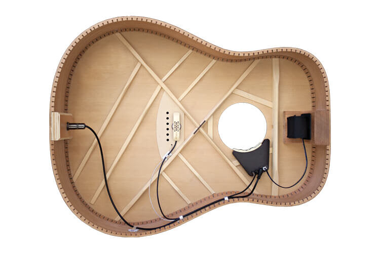 LR Baggs Anthem Tru Mic system