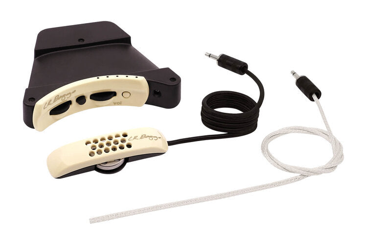 LR Baggs Anthem Tru Mic system