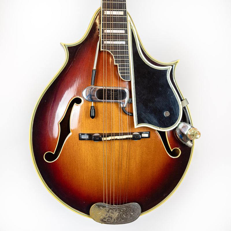 D'Angelico Early 1940s Mandolin, DeArmond Pickup