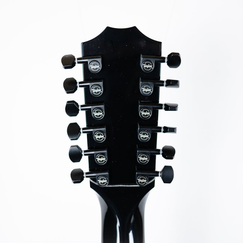Taylor 250ce-BLK DLX