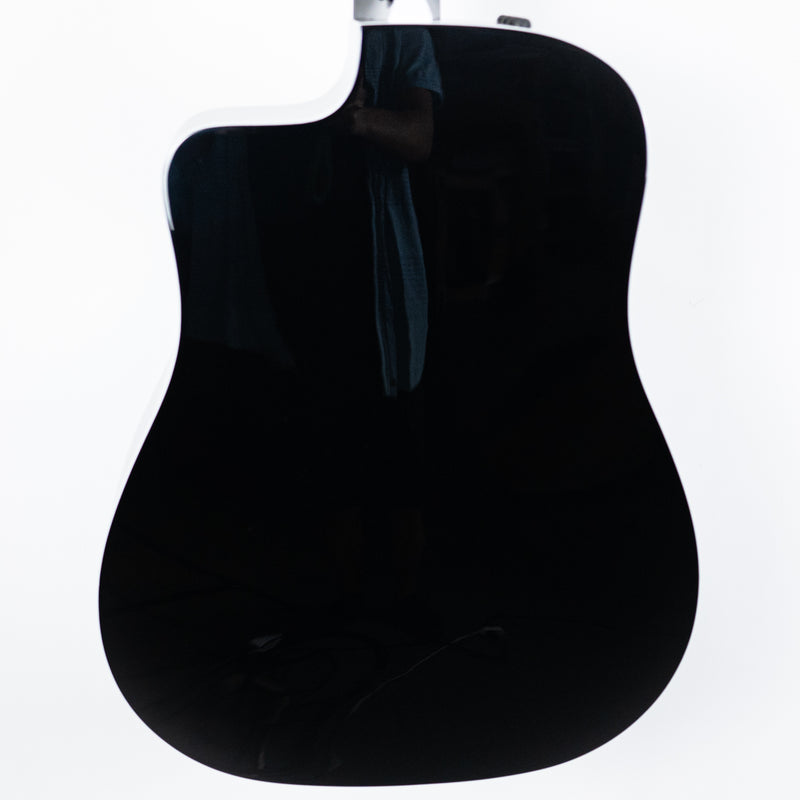 Taylor 250ce-BLK DLX