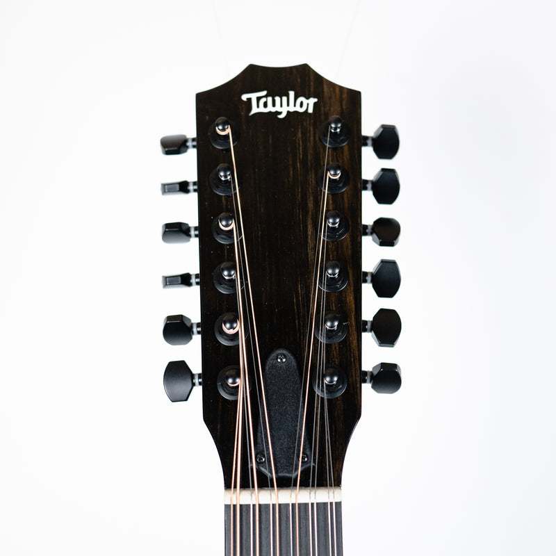 Taylor 250ce-BLK DLX