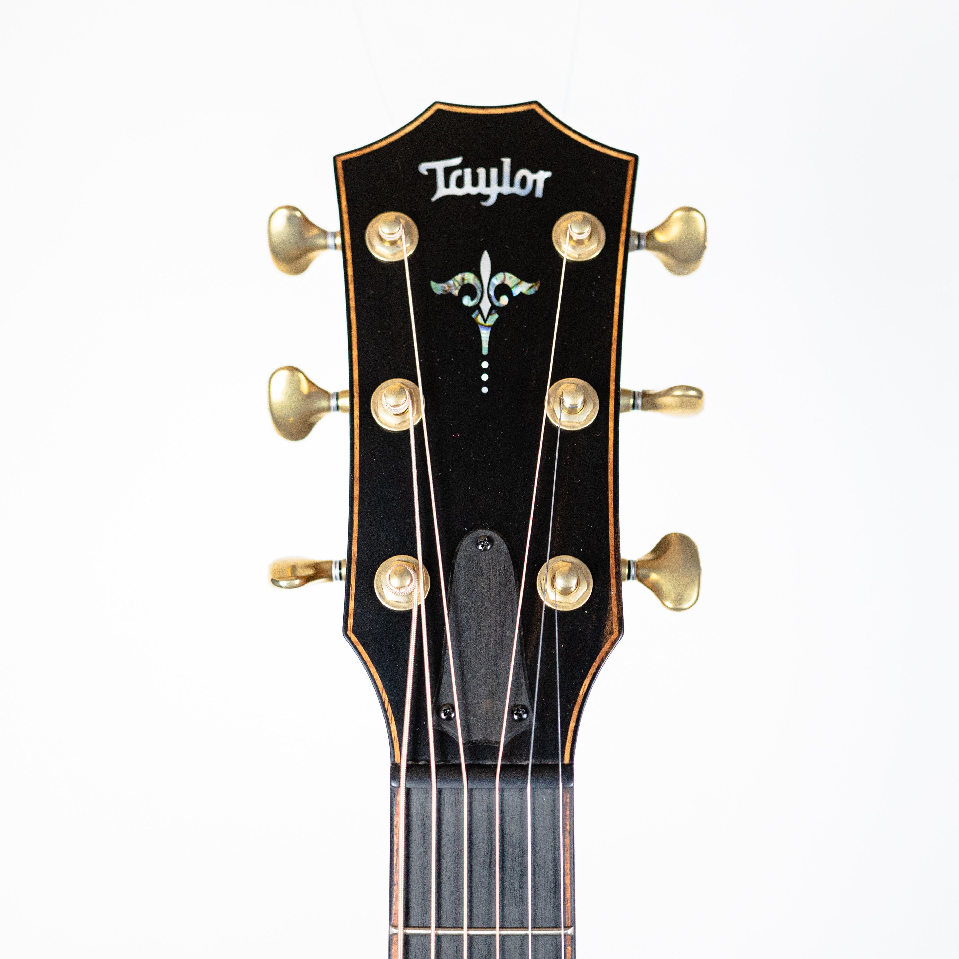 Taylor Builder's Edition 912ce WHB