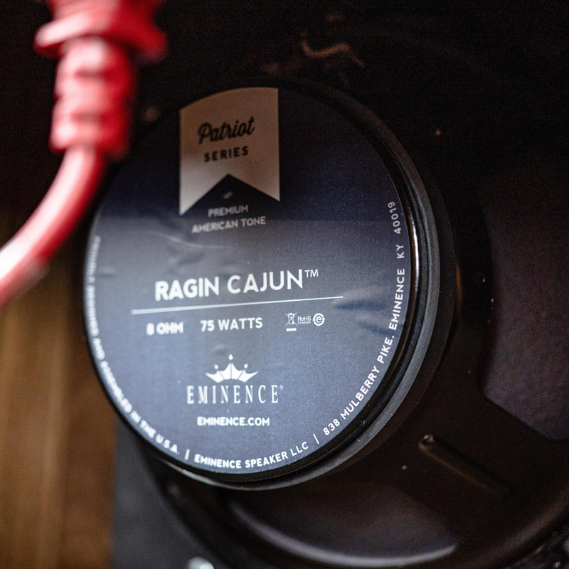 Tyler BMW Amp 2x10 w/road case