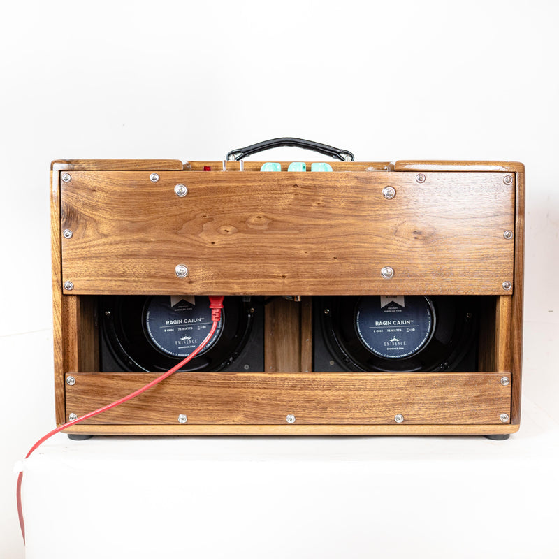 Tyler BMW Amp 2x10 w/road case